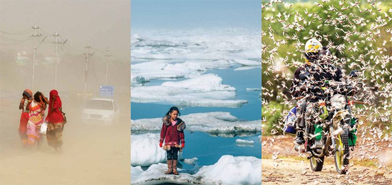 新型生物刺激素集成技術(shù) -- 積極應(yīng)對非生物脅迫對農(nóng)業(yè)生產(chǎn)影響，助力糧食產(chǎn)量和農(nóng)產(chǎn)品品質(zhì)雙提升