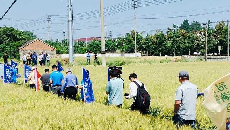 520健康植保日——擁抱綠色農業，我們在行動