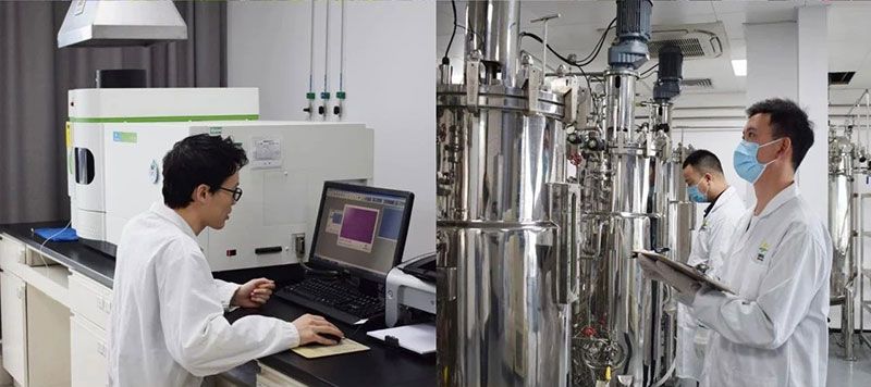 打造新朝陽生物科技“五張名片”,服務(wù)農(nóng)業(yè)高質(zhì)量發(fā)展!