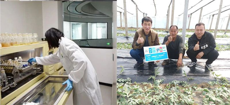 打造新朝陽生物科技“五張名片”,服務(wù)農(nóng)業(yè)高質(zhì)量發(fā)展!