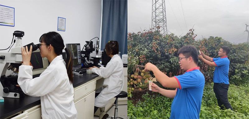 打造新朝陽生物科技“五張名片”,服務(wù)農(nóng)業(yè)高質(zhì)量發(fā)展!